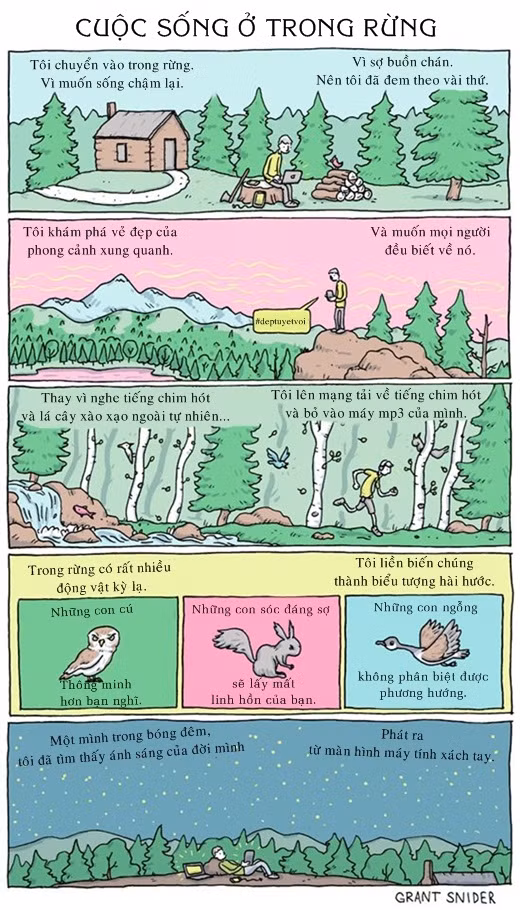 Vào rừng để lánh xa sự ồn ào và sống nhanh của thành phố nhưng đem theo laptop và smartphone thì cũng bằng không.