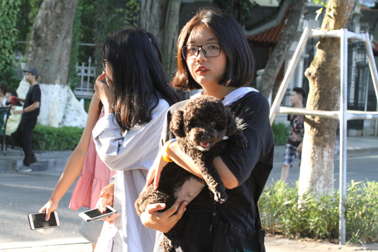 Chia sẻ với PV Kiến Thức, một nhân viên đội bảo vệ thuộc BQL phố đi bộ cho biết: "BQL cũng đã được chỉ đạo về việc nhắc nhở người dân về việc chó mèo phải rọ mõm có dây xích mới được lên phố đi bộ nhưng thực chất do lực lượng mỏng, thêm nữa là chỉ được nhắc nhở nên việc quản lý không được nghiêm ngặt.....".