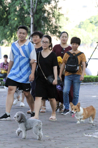 Hy vọng rằng trong thời gian tới, các bạn trẻ mang chó lên phố đi bộ sẽ có ý thức hơn trong việc chấp hành quy định đã được đưa ra.