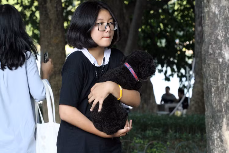 Sau khi được nhắc nhở, bạn trẻ này đã bế cho lên tay và nhanh chóng di chuyển khỏi phố đi bộ.