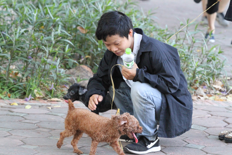 Cho khong ro mom tung tang tren pho di bo ho Guom dip cuoi tuan