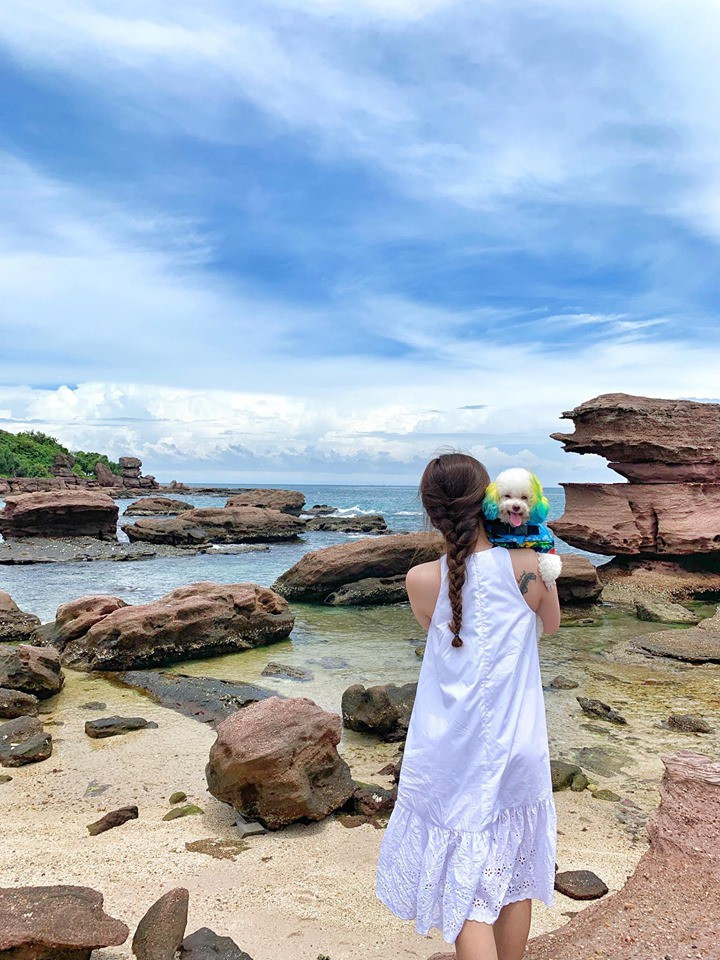 Ngoài việc khen vẻ mặt đáng yêu, hớn hở của chú chó khi được mặc đồ đẹp đi máy bay thì đa số bình luận lại hỏi cùng một chủ đề: làm cách nào để đưa được thú cưng lên máy bay?