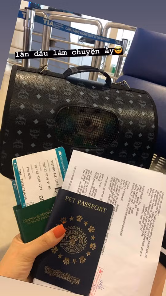 Khi mang thú cưng lên máy bay, bạn phải trông chừng chúng kèm theo những dụng cụ như cái lồng đựng pet, đồ rọ mõm, mặc tả cho "bé" để chúng không chạy nhảy lung tung, làm ồn trên máy bay hay vệ sinh không đúng chỗ đấy nhé.