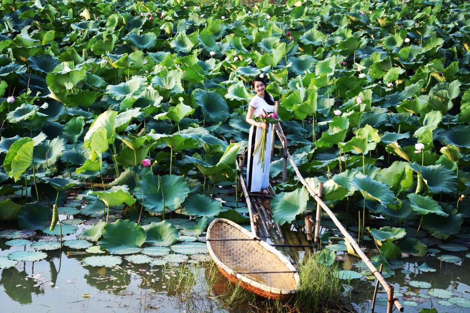 Khác với những địa điểm chụp hình khác thường thu phí, đầm sen của ĐH FPT hoàn toàn miễn phí vé tham quan, chụp ảnh.