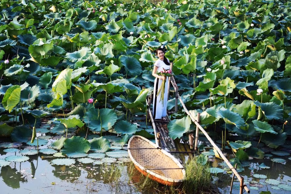 Khác với những địa điểm chụp hình khác thường thu phí, đầm sen của ĐH FPT hoàn toàn miễn phí vé tham quan, chụp ảnh.