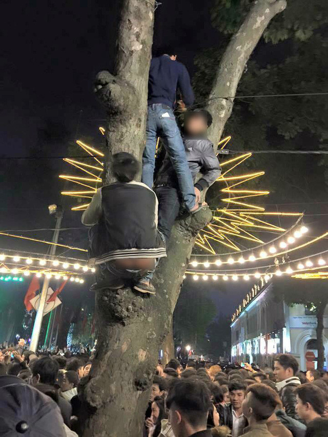 Ngoài việc dẫm đạp lên ô tô, thì việc treo lên cây để xem khá phổ biến ở Việt Nam.