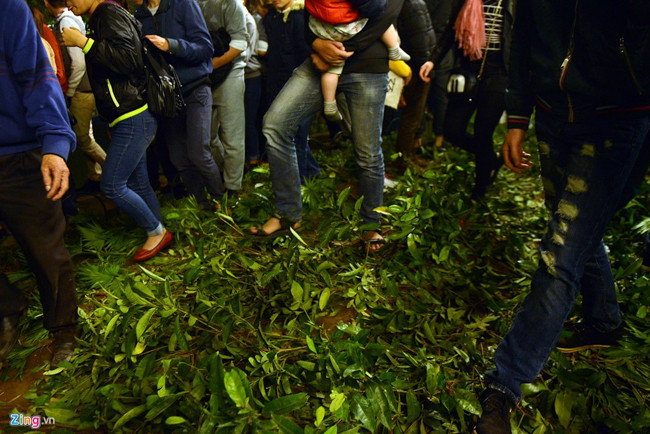 Dù đã được cảnh báo về việc không làm tổn hại không gian xung quanh tại các địa điểm tổ chức nhạc hội, nhưng việc thoát khỏi dòng người đông đúc khiến nhiều người bất chấp dẫm nát cây cảnh.