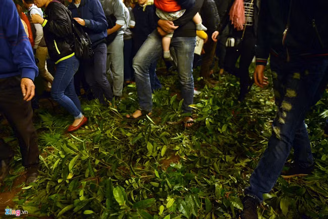 Dù đã được cảnh báo về việc không làm tổn hại không gian xung quanh tại các địa điểm tổ chức nhạc hội, nhưng việc thoát khỏi dòng người đông đúc khiến nhiều người bất chấp dẫm nát cây cảnh.