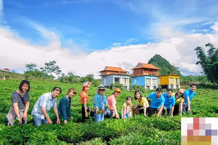 Không gian của nơi này cũng cực gần gũi với thiên nhiên, ngay phía trong có vườn mận, đồi chè, và cánh đồng cải trắng bên trong.