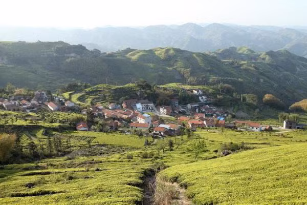 Sau khi những bức ảnh được chính cặp đôi chia sẻ lan truyền trên mạng, nhiều người đã tỏ ra ngưỡng mộ và mong ước có được một cuộc sống tự do tự tại và yên bình như cặp vợ chồng Tân Thất.