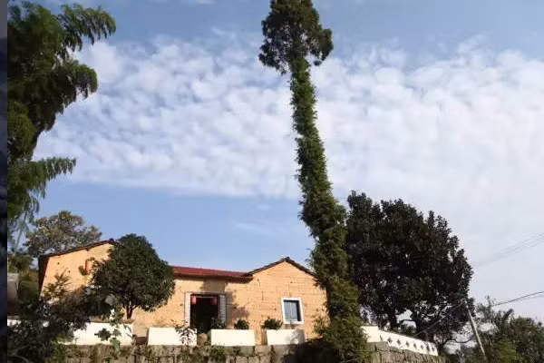 Ngôi nhà nhỏ nơi chứng kiến cuộc sống hạnh phúc yên bình của cặp vợ chồng Tân Thất.