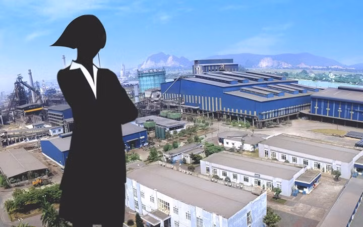 Đến nay, ngoài thông tin bà Vũ Thị Hiền là vợ của Chủ tịch Tập đoàn Hòa Phát Trần Đình Long, không có bất kỳ thông tin cũng như hình ảnh nào về "người vợ giàu có và bí ẩn" của vị đại gia này. Tài sản: 3.702 tỷ đồng (tương đương 163 triệu USD). Sở hữu: 7,29% vốn Tập đoàn Hóa Phát