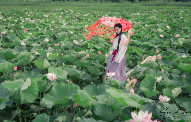 "Bọn mình chỉ có đúng 2 tiếng lên kế hoạch, đi thuê đồ luôn trong tối đó để sáng hôm sau chụp luôn. Mình chụp sen lúc sáng sớm vì khi ấy, sen nở sẽ đẹp hơn. Trưa nắng lên hoa sẽ héo và nắng còn khổ cho người mẫu nữa", Việt Sơn nhiếp ảnh gia thực hiện bộ ảnh này nói.