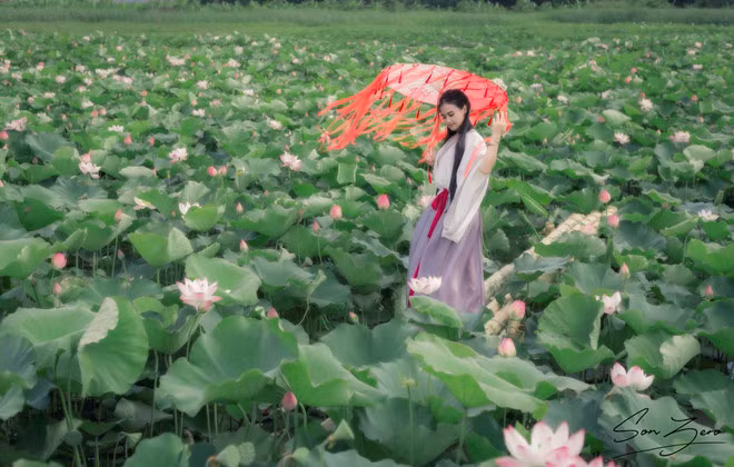 "Bọn mình chỉ có đúng 2 tiếng lên kế hoạch, đi thuê đồ luôn trong tối đó để sáng hôm sau chụp luôn. Mình chụp sen lúc sáng sớm vì khi ấy, sen nở sẽ đẹp hơn. Trưa nắng lên hoa sẽ héo và nắng còn khổ cho người mẫu nữa", Việt Sơn nhiếp ảnh gia thực hiện bộ ảnh này nói.