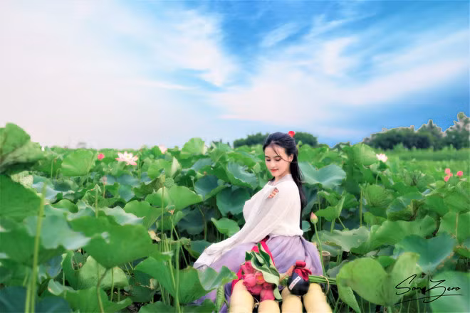 Nu sinh Hai Phong hoa tien nu chup anh ben ho sen gay sot mang