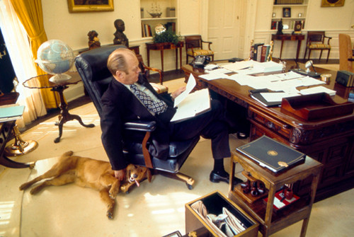 Sáng kiến này là một thành công rất lớn bởi nó không chỉ giúp các nhân viên có tư tưởng thoải mái hơn mà những con vật nuôi cũng đã giúp họ thân thiện với nhau hơn.