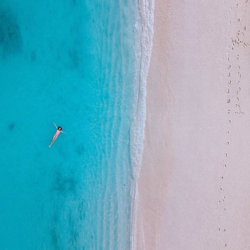 Họ phải hiểu biết rộng về phương tiện truyền thông xã hội để có thể chia sẻ trên trực tuyến về những trải nghiệm của mình.