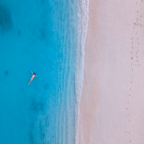 Họ phải hiểu biết rộng về phương tiện truyền thông xã hội để có thể chia sẻ trên trực tuyến về những trải nghiệm của mình.