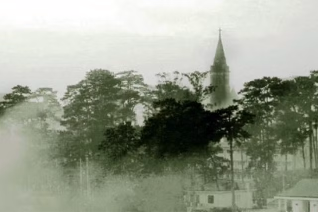 Trong cơn mưa ngang qua của Đà Lạt, bạn hãy đi chơi một vòng hồ Xuân Hương bằng xe ngựa để rồi nó sẽ đưa bạn đến với hồ Than Thở, thung lũng Tình Yêu hay thác Datanla để ngắm bạt ngàn những đồi thông.