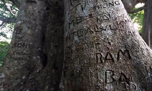 Bức tượng "Đất lành chim đậu" của nhà điêu khắc Phạm Văn Hạng đặt ở bùng binh đường Bạch Đằng -3/2 - Như Nguyệt hiện đang dần bị hủy hoại bởi chính những trò vẽ bậy ở Đà Nẵng. Hàng ngày, không khó để bắt gặp hình ảnh những học sinh, thiếu niên thản nhiên leo trèo đùa nghịch, viết vẽ bậy lên tượng, mặc dù đã được sơn sửa lại rất nhiều lần. Tình trạng này đã kéo dài suốt một thời gian và hiện vẫn chưa có biện pháp ngăn chặn, gây bức xúc cho những người yêu mến Đà Nẵng.