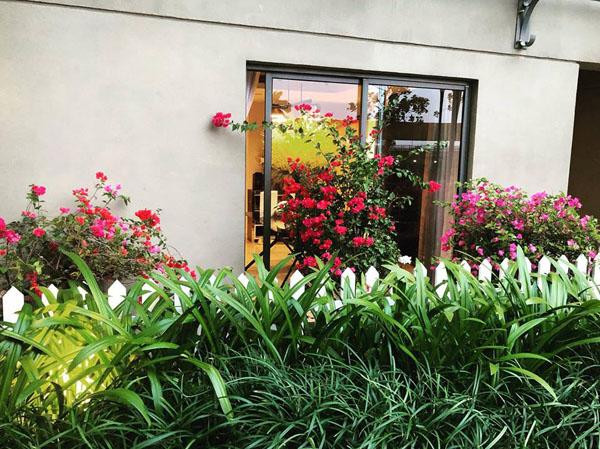 Ngoài trồng hoa giấy màu đỏ - hồng truyền thống, Vũ Khắc Tiệp còn chọn cả hoa giấy nhiều màu tô điểm cho ban công căn hộ. Ngoài trồng hoa giấy màu đỏ - hồng truyền thống, Vũ Khắc Tiệp còn chọn cả hoa giấy nhiều màu tô điểm cho ban công căn hộ.