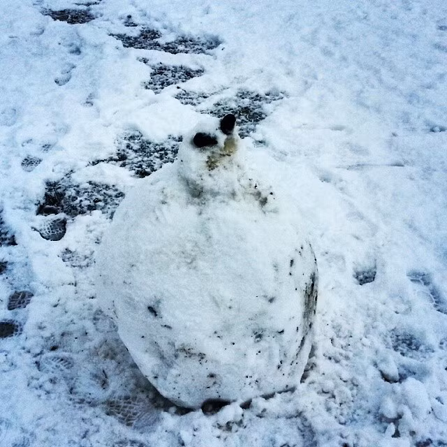 Ai cũng muốn tạo cho mình những chú người tuyết thật đẹp để chụp ảnh cho lung linh. Tuy nhiên, không phải ai cũng làm được như vậy và đây là điều khiến dân mạng cảm thấy tụt hứng khỏi muốn chào đón năm mới.