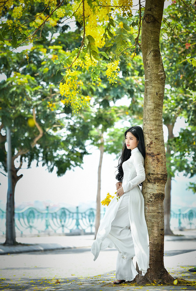 Cùng ngắm nhìn những bức ảnh đẹp mê hồn của "hot girl bánh mướt" xứ Nghệ trong bộ ảnh khoe sắc bên hoa hoàng yến.