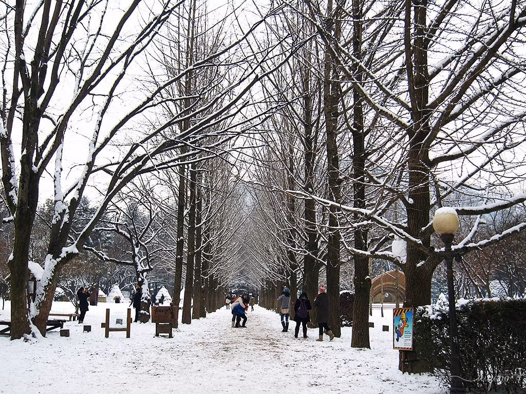 Đảo Nami rất nổi tiếng sau khi bộ phim truyền hình Hàn Quốc "Winter Sonata" được phát sóng rộng khắp. Nơi đây nổi tiếng với những con đường đẹp và thơ mộng nhất.