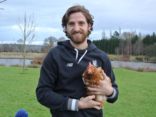 Joe Allen là ngôi sao của CLB Liverpool cũng như của ĐT xứ Wales, để thể hiện tình yêu với những chú gà, tiền vệ được mệnh danh là "Pirlo mới" này có hẳn một nông trại mini - nơi anh và gia đình nuôi đủ các loại gà như thú cưng trong nhà.