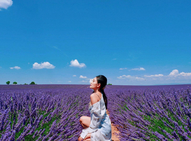 Phương Thảo quyết định sử dụng nhiều biện pháp giảm cân cấp tốc như uống thuốc giảm cân, ăn kiêng. Kết quả, hot girl phòng gym này giảm được 4kg trong 10 ngày, nhưng sức khỏe lại giảm sút rõ rệt, người hốc hác vì thiếu ngủ, tóc rụng rất nhiều.