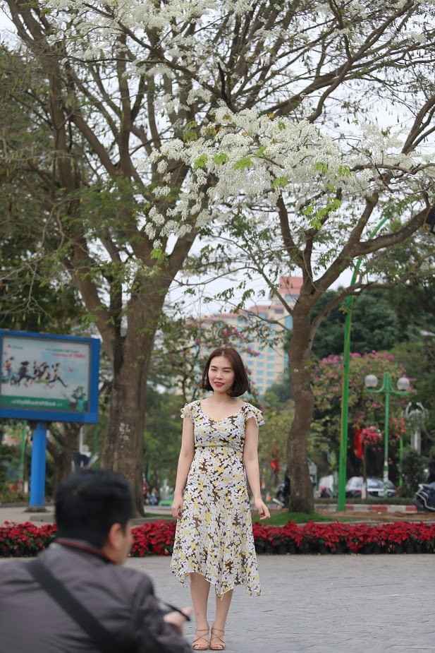 Hoa sưa là như vậy, không cần quá rực rỡ hay thu hút bởi mùi hương, chỉ cần bung nở cũng đủ để say lòng bất cứ ai vô tình ngang qua đường.