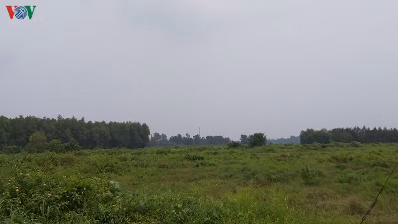 Tòa nhà này trước đây là nơi giao dịch của Công ty địa ốc Alibaba.