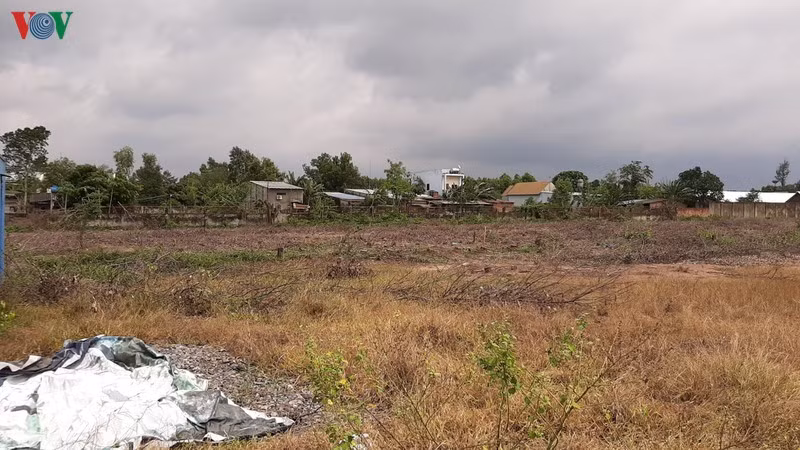 Khu đất trước đây công ty Alibaba từng đưa khách đến giới thiệu dự án đất nền.