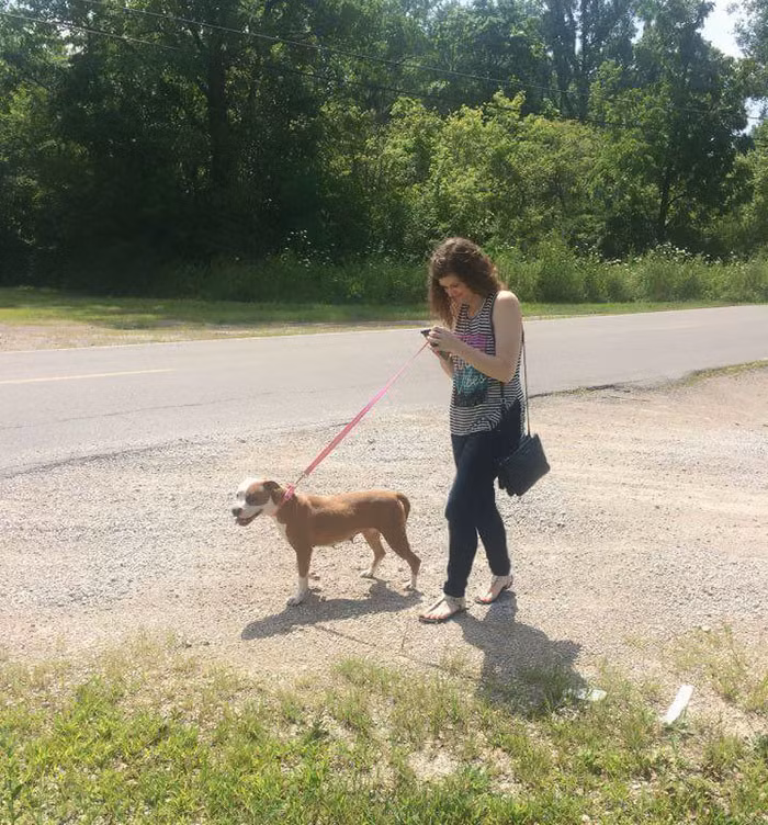 Được biết đây chỉ là một thú vui của các game thủ trong công cuộc săn những chú linh thú Pokemon.