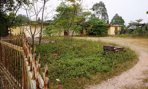 Kho thuốc sâu nằm ở khu vực ranh giới khối 1 và khối 2, thị trấn Rừng Thông. Ảnh: Nguyễn Dương.