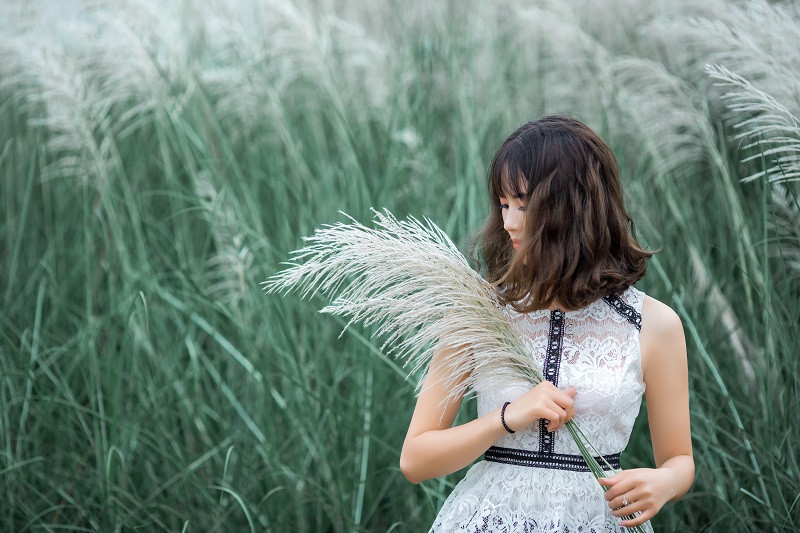 Thêm nữa, cỏ lau Thanh Chương thấp, bông trắng, đặc biệt không bị đan xen cỏ dại, có những lối đi tự nhiên, sạch sẽ và cát trắng mịn.