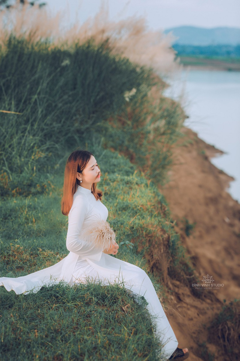 Ở đây chỉ độc mỗi cỏ lau không xen lẫn một cây tạp nào, nên khi mùa lau về cả bãi lau rực sáng một màu trắng bạc.