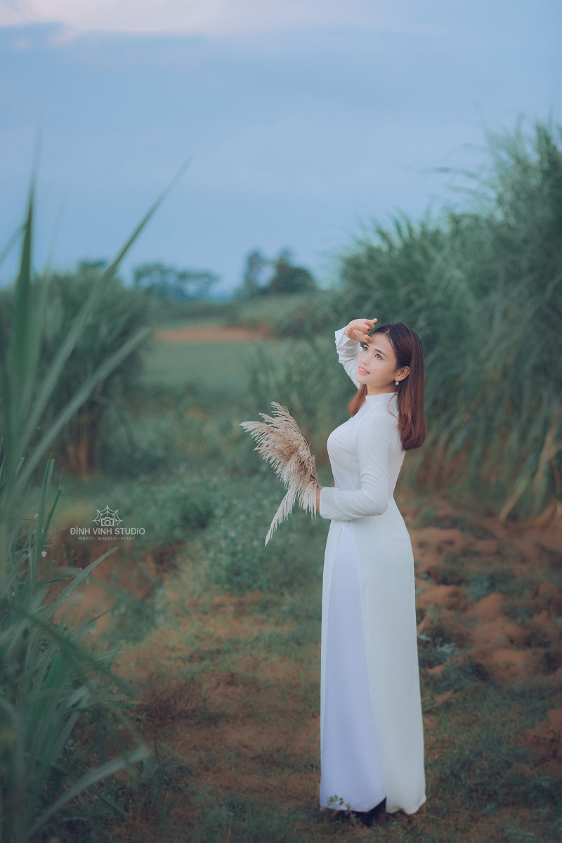 Đứng giữa bãi lau Thanh Chương cảm thấy lãng mạn đến lạ lùng, xung quanh sông nước mây trời, núi non trùng điệp.