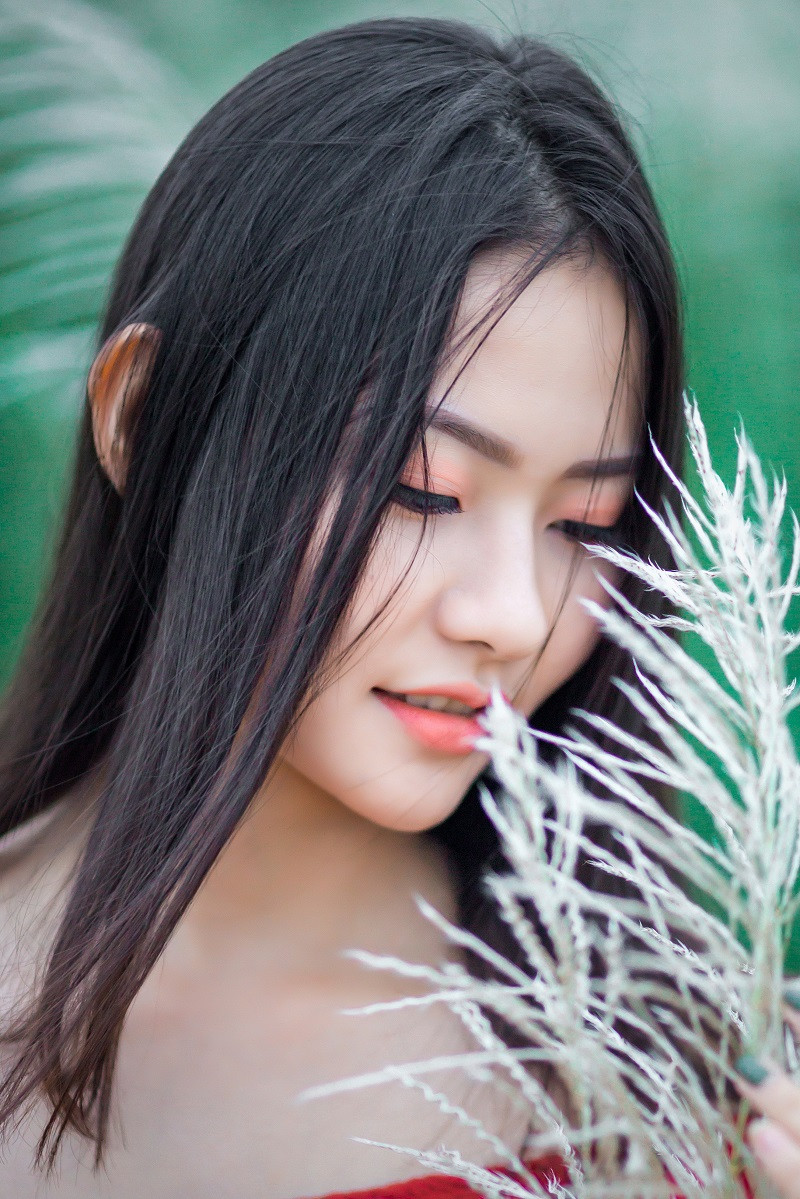 Cánh đồng lau Thanh Chương là ột “ốc đảo” nằm giữa lòng sông Lam, muốn qua bãi phải đi thuyền, bốn bề là nước.