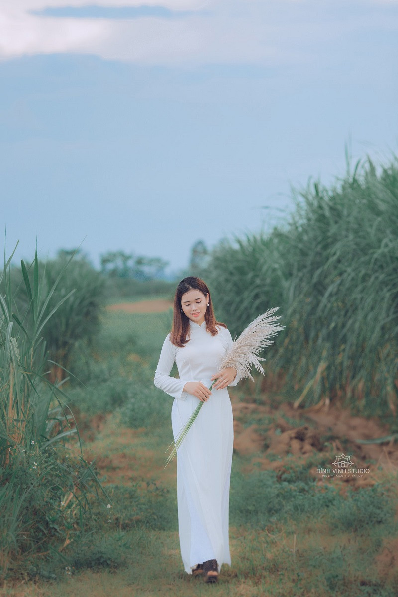 Bãi lau Thanh Văn được giới phượt đánh giá là một bãi lau đẹp, lãng mạn tốp đầu trong tỉnh, độc đáo hơn cả bãi lau ở Nam Cường.