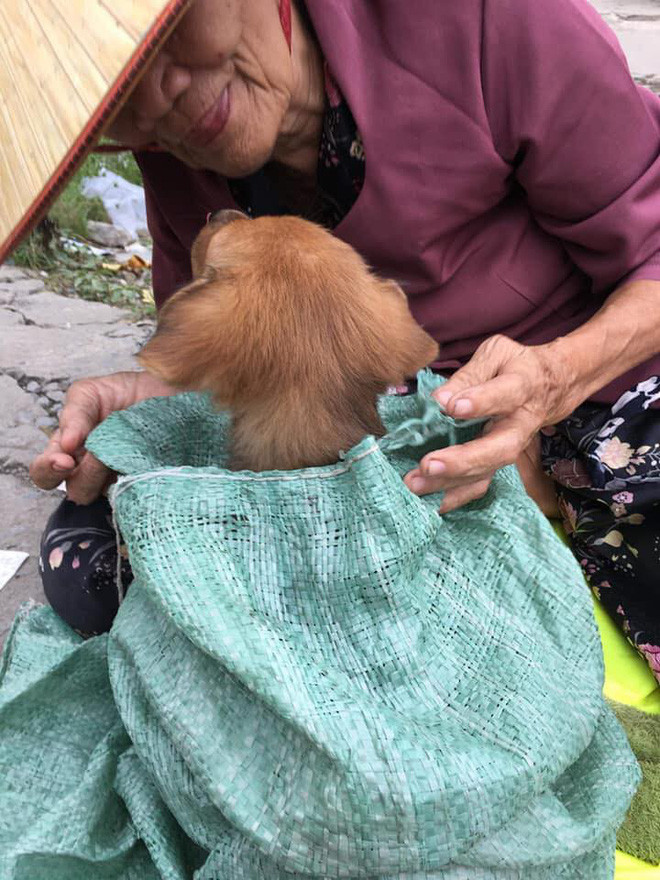 Chỉ sau một giờ đăng tải, câu chuyện đã được chia sẻ trên khắp các diễn đàn và các fanpage lớn của Facebook.