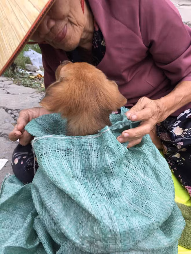 Chỉ sau một giờ đăng tải, câu chuyện đã được chia sẻ trên khắp các diễn đàn và các fanpage lớn của Facebook.