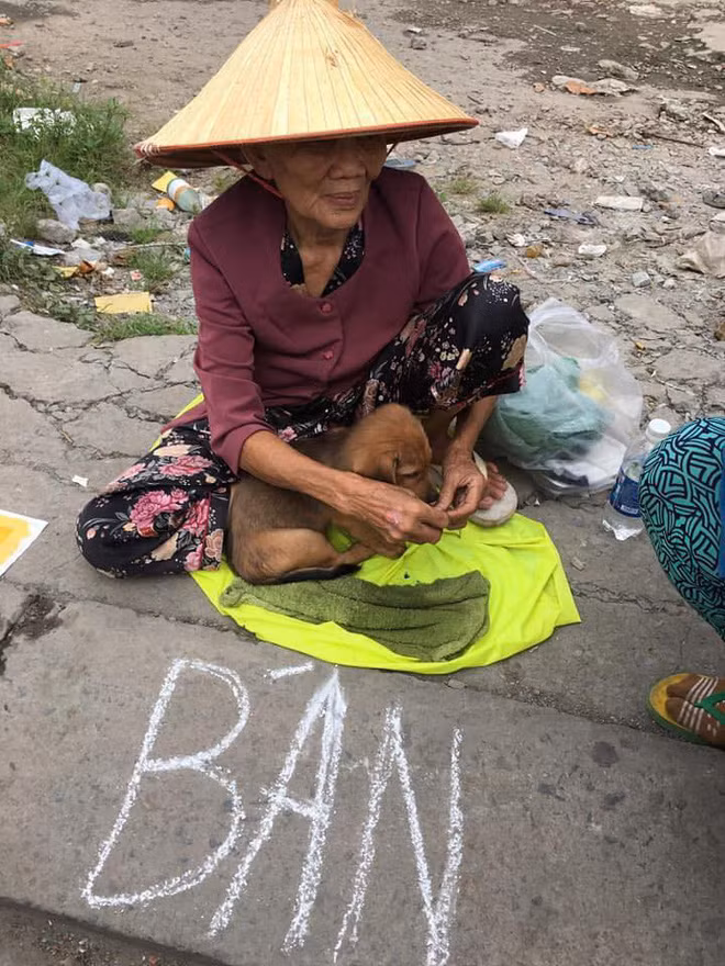 Mới đây trên MXH, những hình ảnh và câu chuyện về bà cụ nghèo phải bán đi chú chó nhỏ được dân mạng lan truyền và lấy đi không ít nước mắt của mọi người.