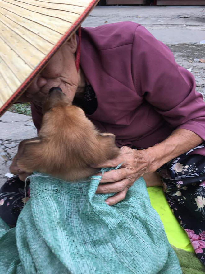 Thậm chí, nhiều người đã không kìm được nước mắt trước hoàn cảnh của bà lão và thầm mong chú chó sẽ có chủ mới tốt, mong bà mau khỏe bệnh, sống thật lâu.