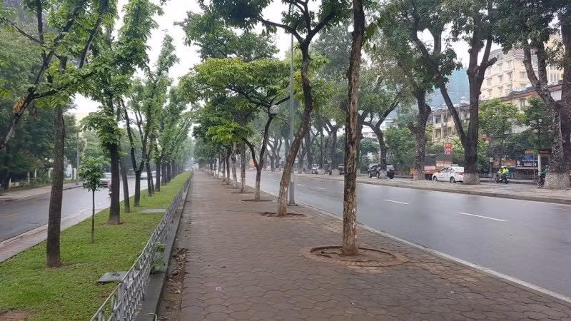 Còn nickname Tuan Pham thì vui vẻ bình luận rằng: "Phải chăng với quang cảnh này, Hà Nội sẽ trở thành thành phố đáng sống nhất hành tinh. Những đoạn đường hàng ngày tắc dài vài kilomet giờ lại trở nên thoáng đãng. Một mình một đường là có thật".