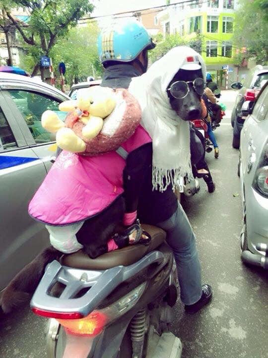 Khi ra đường, người việc giữ ấm cho cơ thể khi nhiệt độ hạ xuống thấp, các "boss" còn phải thời trang.