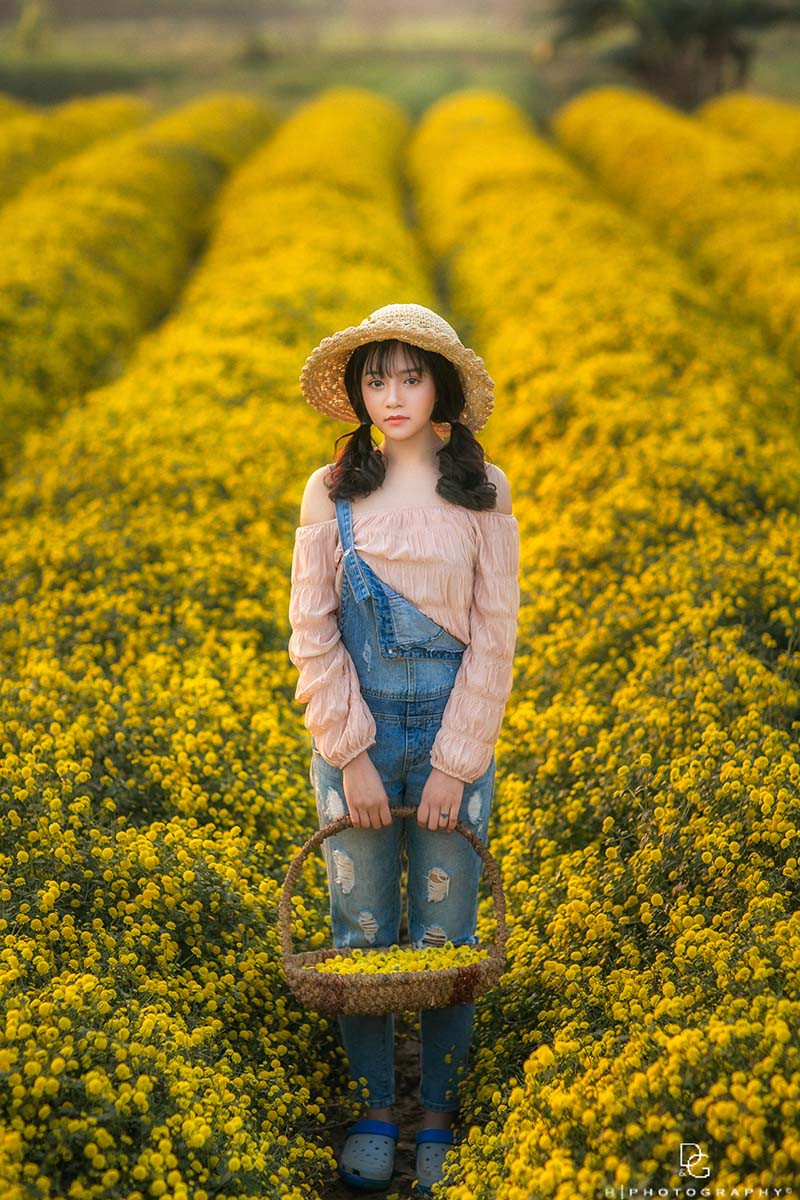 Những vạt đồng hoa cúc chi rực vàng hai bên đường, vừa là nơi có thể "đổi gió" tận hưởng một khung cảnh yên bình, vừa có những bức ảnh lung linh để "cất túi" của nhiều bạn trẻ.