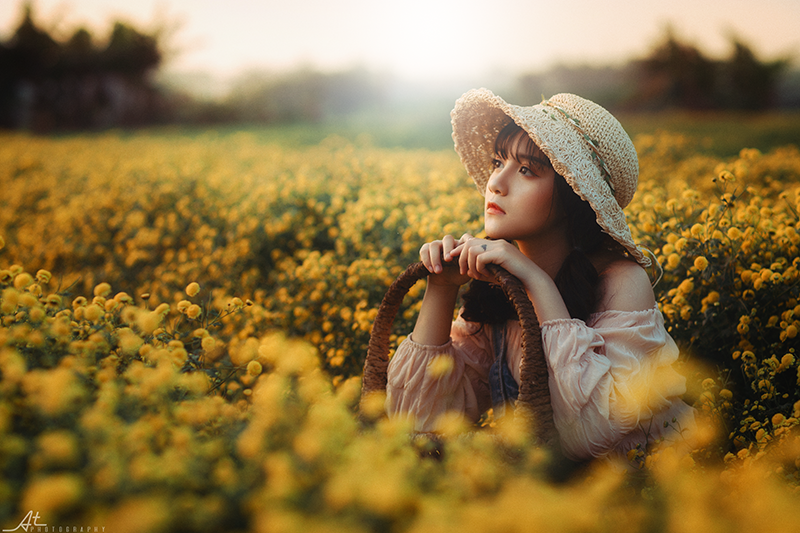 Theo chia sẻ của anh Thuyết, một nhiếp ảnh gia kiêm người dân ở Hưng Yên cho biết: "Đây là 1 loại hoa cúc chi hay gọi là cúc tiến vua. Hoa này trông 6 tháng mới thu hoạch được, thu hoạch hái bằng tay rồi sấy xong phơi mới có thể bào chế thành thuốc. Bình thường hoa nở 3-5 lứa, 1 lần cách nhau 7-10 ngày".