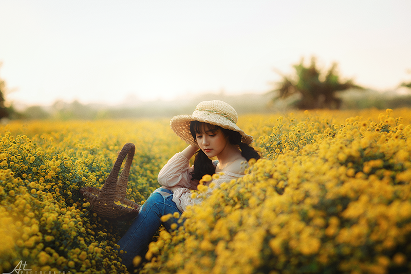 Lưu ý với các bạn trẻ, chụp ảnh ở cánh đồng hoa cúc chi tại Hưng Yên sẽ không mất tiền Các bác ở đó rất tốt bụng, xin các bác ở đó, họ cho chụp thoải mái, hơn nữa minh còn được tặng 1 chút hoa về làm trà uống.