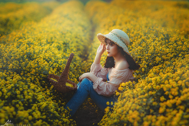 Khách chạy trên đường là có thể nhìn thấy "dãy lấp lánh vàng" phía dưới, muốn dừng lại tại ruộng nào chụp ảnh thì có thể xin phép trước nông dân.